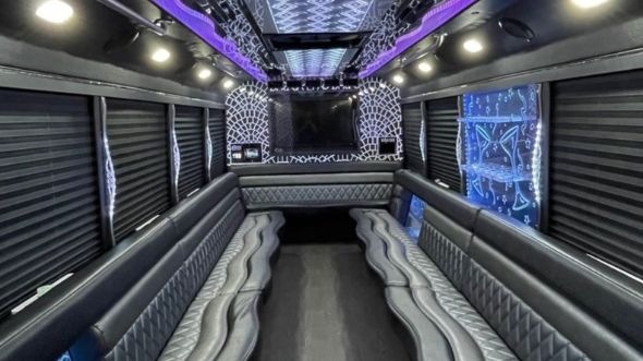 lakewood 20 passenger party bus